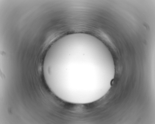 X0000091360124200708101101