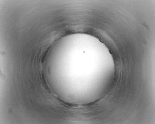 X0000091360125200708101101