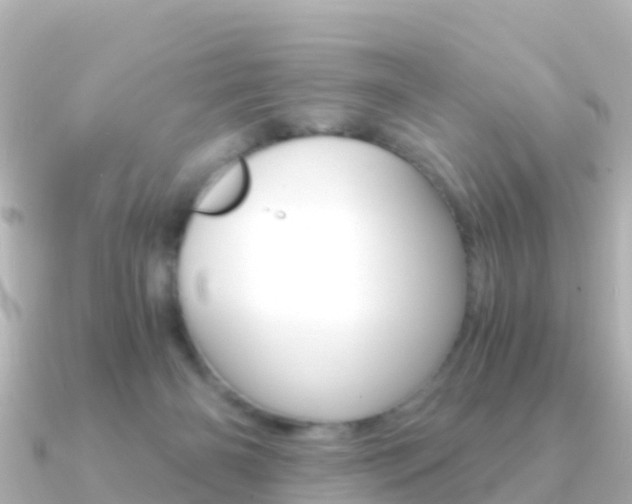 X0000091360126200708101101