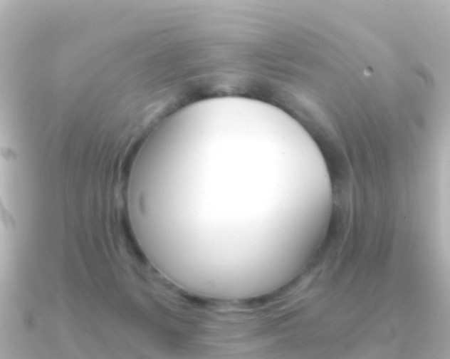 X0000091360127200708101101