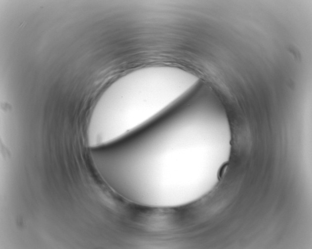 X0000091360128200708101101