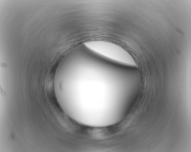 X0000091360129200708101101