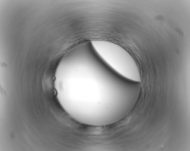 X0000091360131200708101101