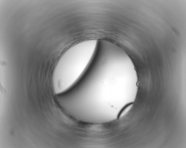 X0000091360132200708101101