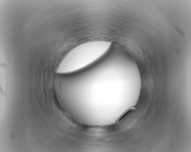 X0000091360133200708101101