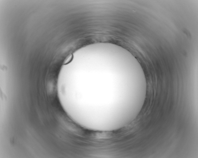 X0000091360134200708101101