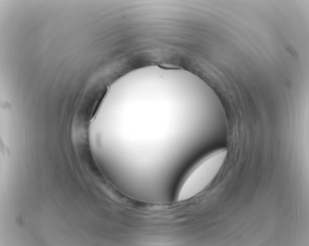 X0000091360137200708101101