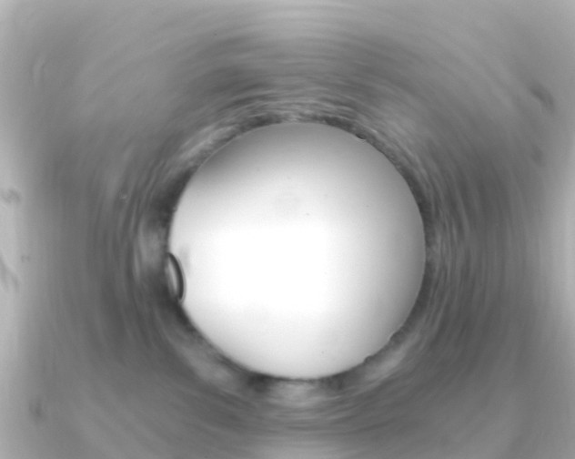 X0000091360139200708101101