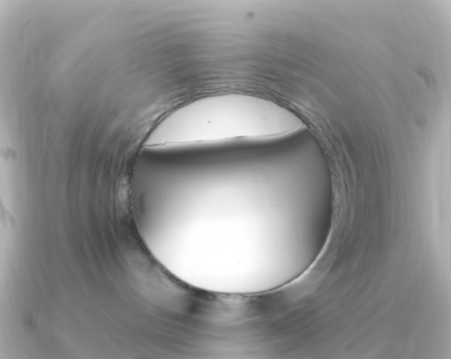 X0000091360144200708101101