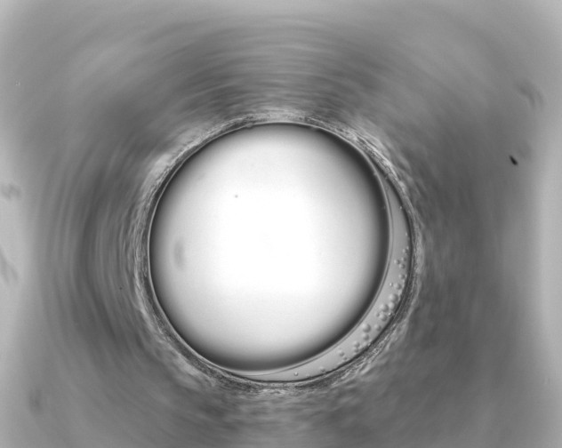 X0000091360145200708101101