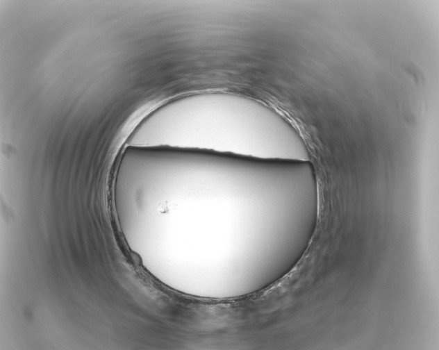 X0000091360147200708101101