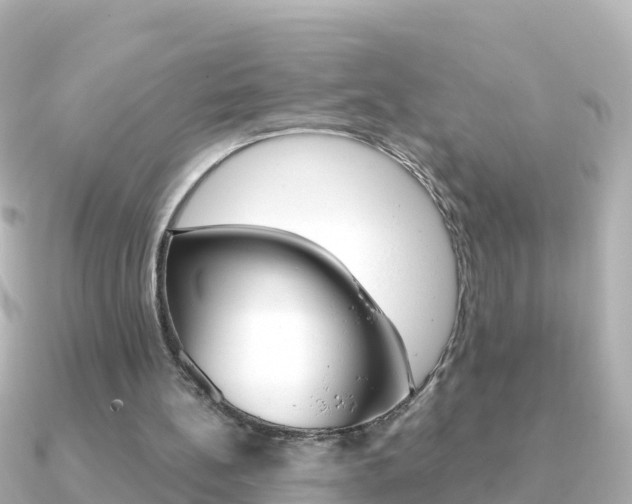 X0000091360148200708101101