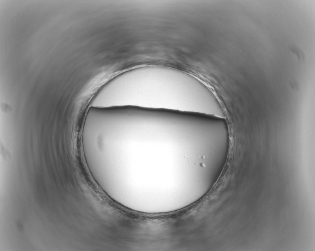 X0000091360149200708101101