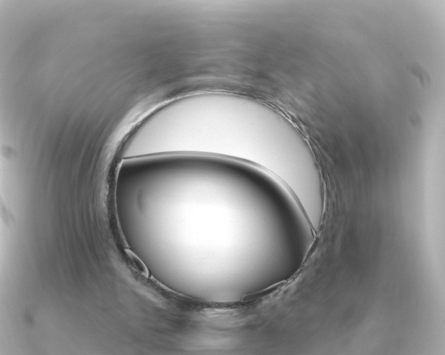 X0000091360150200708101101