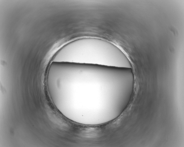 X0000091360151200708101101