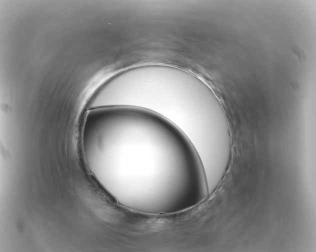 X0000091360152200708101101