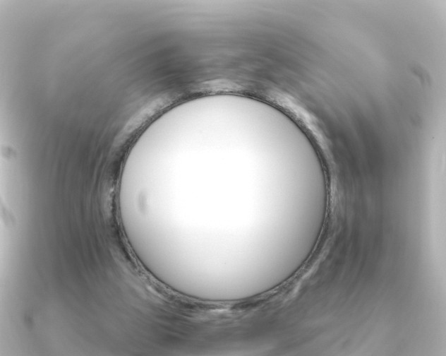 X0000091360153200708101101