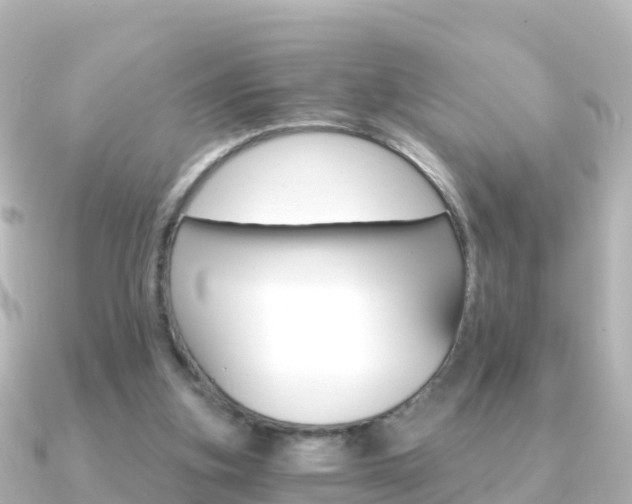 X0000091360155200708101101