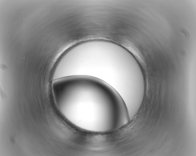 X0000091360156200708101101