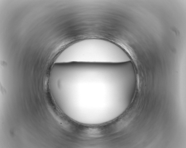 X0000091360157200708101101