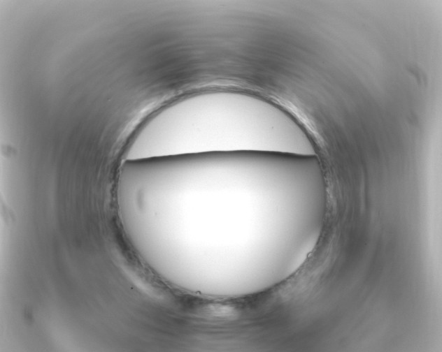X0000091360159200708101101