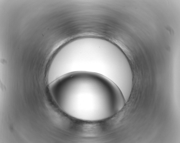 X0000091360160200708101101