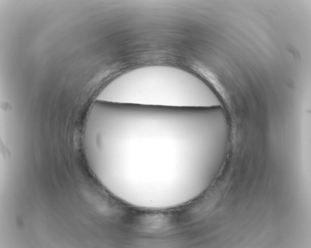 X0000091360161200708101101