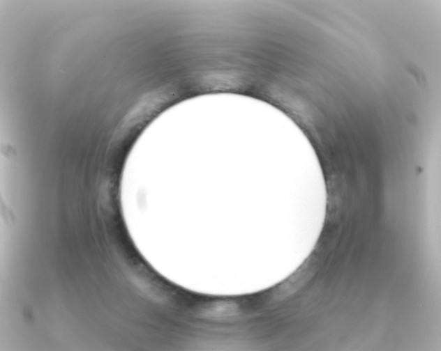 X0000091360162200708101101