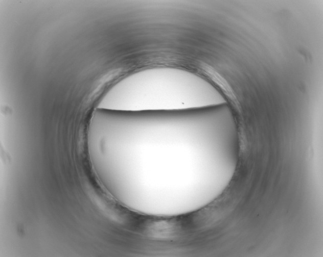 X0000091360163200708101101
