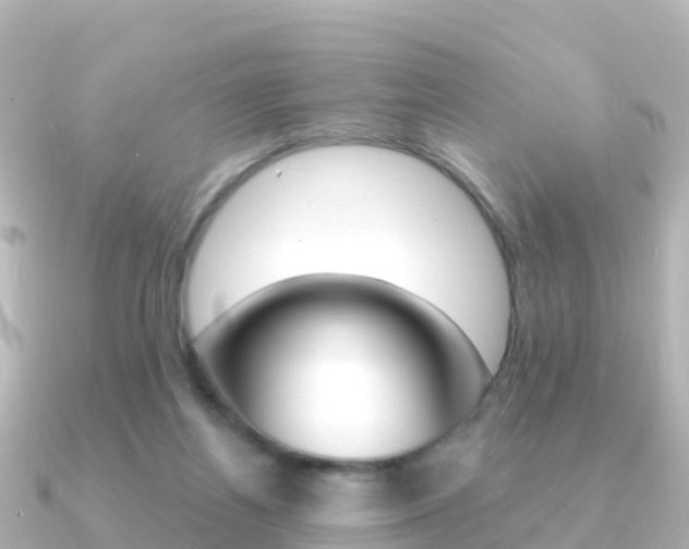 X0000091360164200708101101