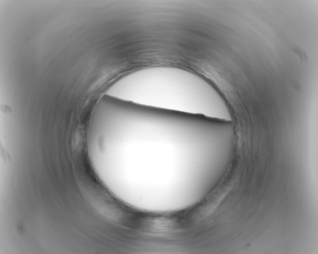 X0000091360165200708101101
