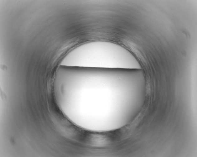 X0000091360167200708101101