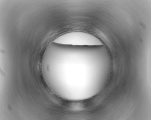 X0000091360169200708101101
