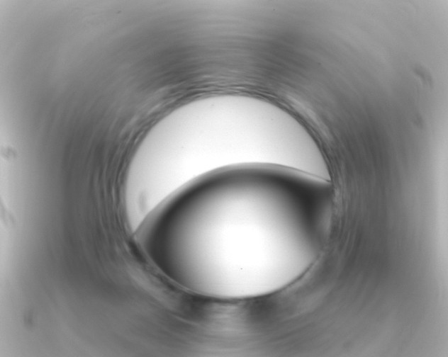 X0000091360170200708101101