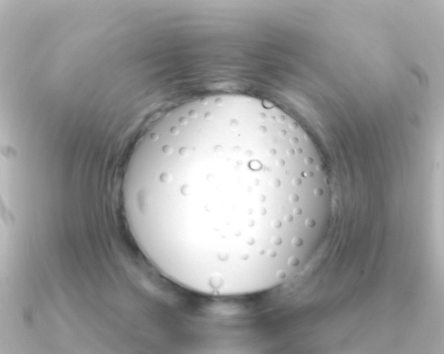 X0000091360171200708101101