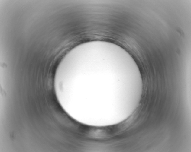 X0000091360174200708101101