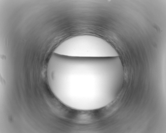 X0000091360175200708101101