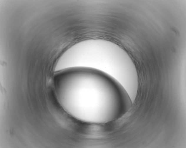 X0000091360176200708101101