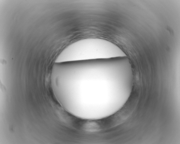 X0000091360177200708101101