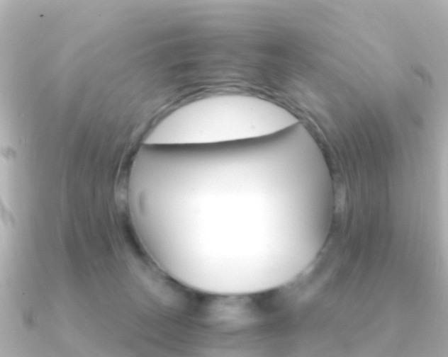 X0000091360179200708101101