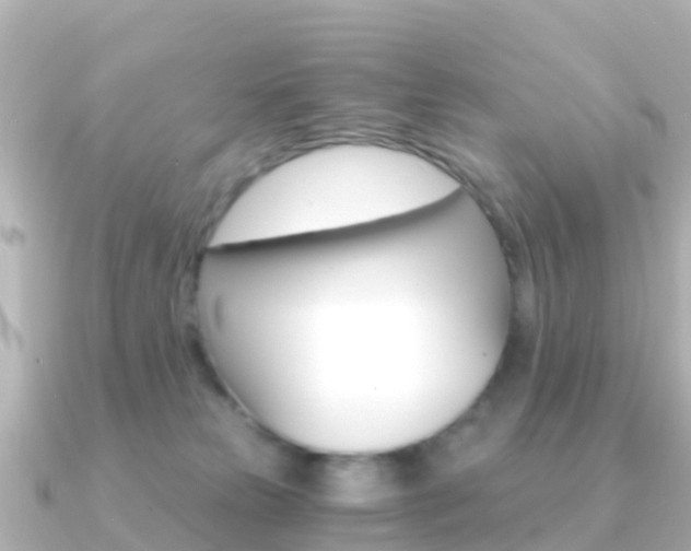 X0000091360181200708101101