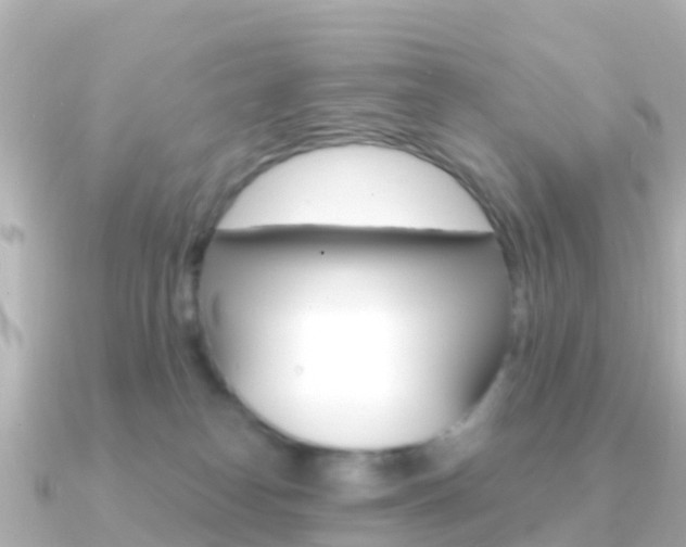 X0000091360182200708101101