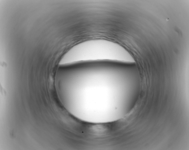 X0000091360183200708101101
