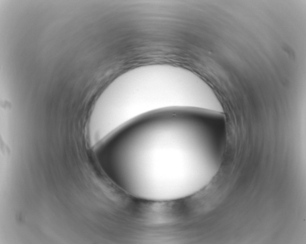 X0000091360184200708101101