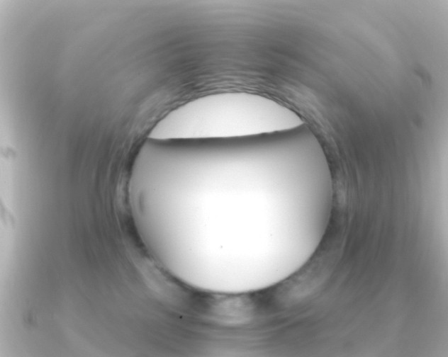 X0000091360185200708101101