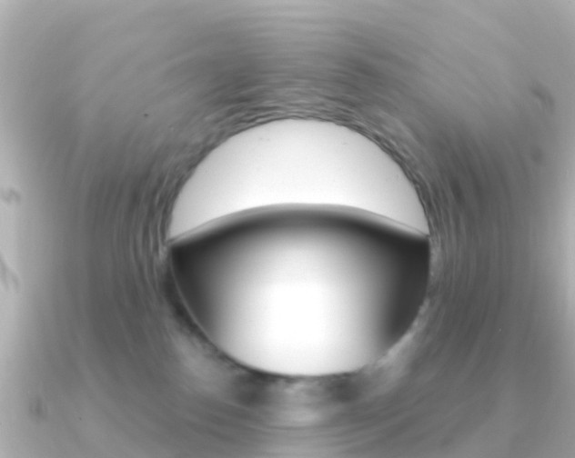 X0000091360186200708101101