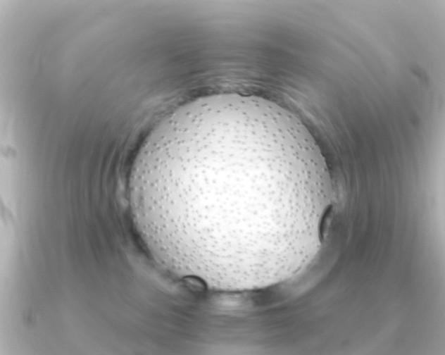 X0000091360187200708101101