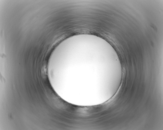 X0000091360190200708101101