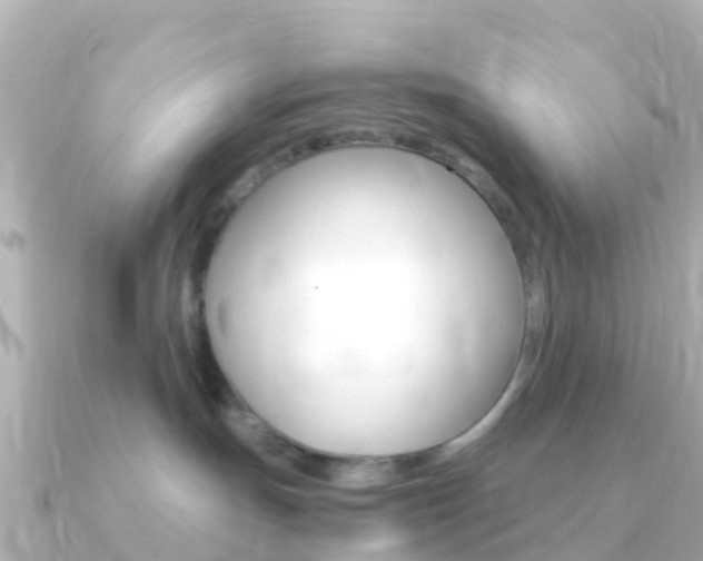 X0000091360191200708101101