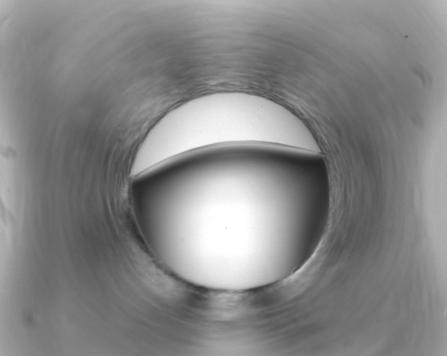 X0000091360192200708101101